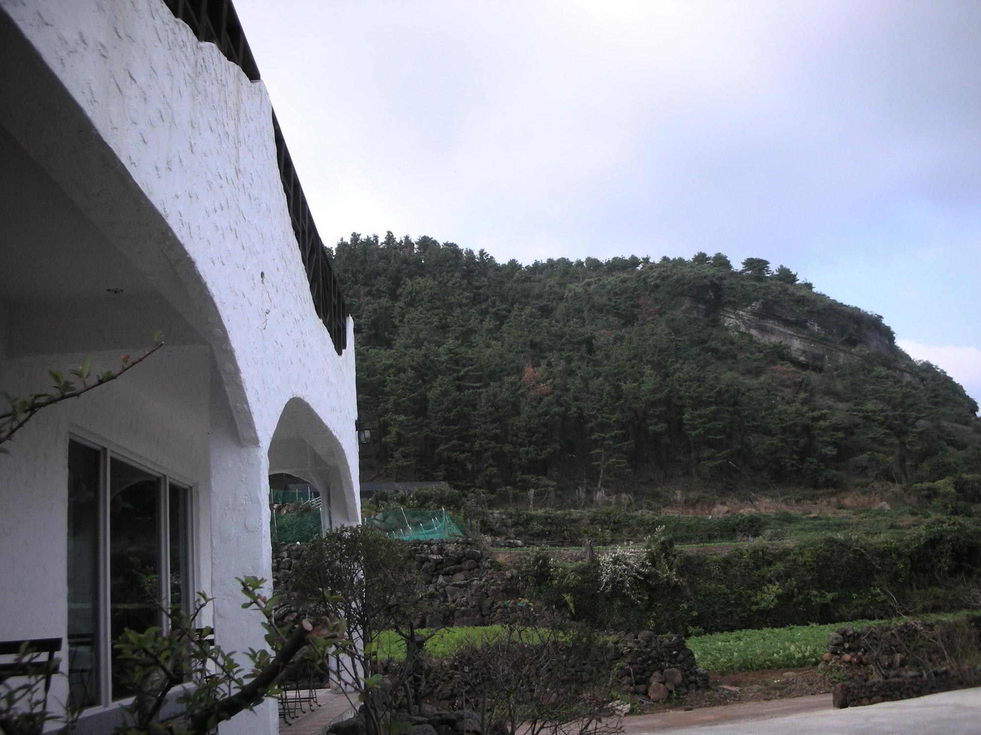 Guesthouse Kim'S Cabin Seogwipo Extérieur photo